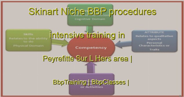 Skinart Niche BBP procedures intensive training in Peyrefitte Sur L Hers area | BbpTraining | BbpClasses | SkinartTraining-France